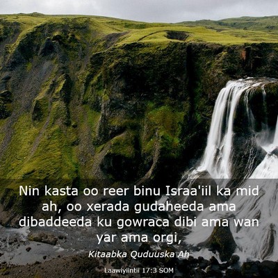 Picture 03 - Laawiyiintii 17:3 SOM - Nin kasta oo reer binu Israa'iil ka mid ah, oo - Bible Verse Picture