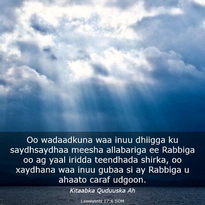 Picture 03 - Laawiyiintii 17:6 SOM - Oo wadaadkuna waa inuu dhiigga ku saydhsaydhaa - Bible Verse Picture