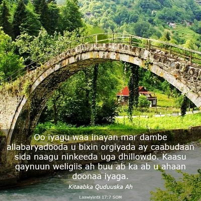 Picture 03 - Laawiyiintii 17:7 SOM - Oo iyagu waa inayan mar dambe allabaryadooda u - Bible Verse Picture