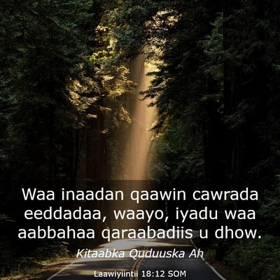 Picture 03 - Laawiyiintii 18:12 SOM - Waa inaadan qaawin cawrada eeddadaa, waayo, iyadu - Bible Verse Picture