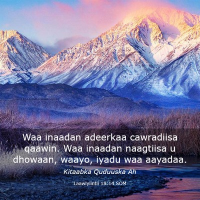 Picture 03 - Laawiyiintii 18:14 SOM - Waa inaadan adeerkaa cawradiisa qaawin. Waa - Bible Verse Picture