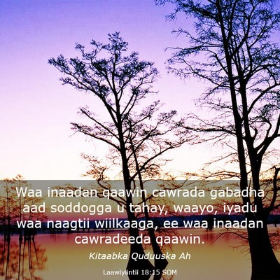 Picture 03 - Laawiyiintii 18:15 SOM - Waa inaadan qaawin cawrada gabadha aad soddogga u - Bible Verse Picture