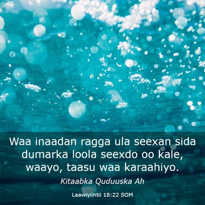 Picture 03 - Laawiyiintii 18:22 SOM - Waa inaadan ragga ula seexan sida dumarka loola - Bible Verse Picture