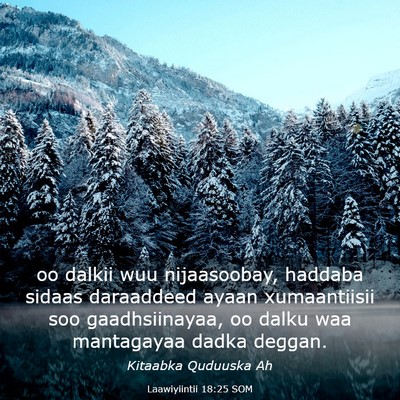 Picture 03 - Laawiyiintii 18:25 SOM - oo dalkii wuu nijaasoobay, haddaba sidaas - Bible Verse Picture