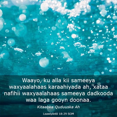 Picture 03 - Laawiyiintii 18:29 SOM - Waayo, ku alla kii sameeya waxyaalahaas - Bible Verse Picture