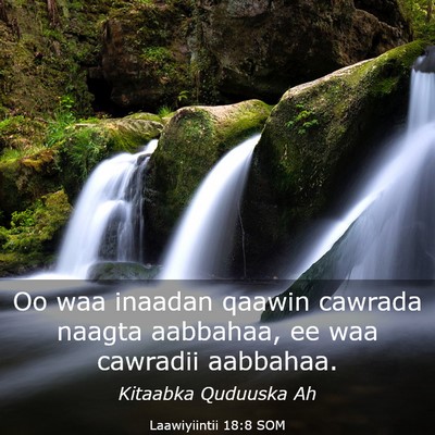 Picture 03 - Laawiyiintii 18:8 SOM - Oo waa inaadan qaawin cawrada naagta aabbahaa, ee - Bible Verse Picture