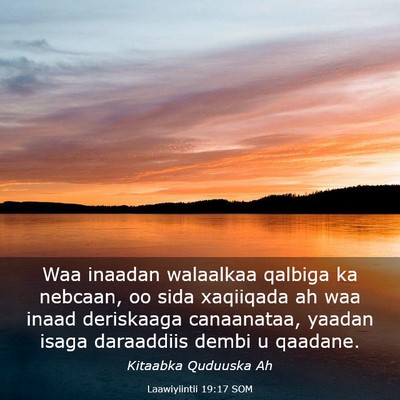 Picture 03 - Laawiyiintii 19:17 SOM - Waa inaadan walaalkaa qalbiga ka nebcaan, oo sida - Bible Verse Picture
