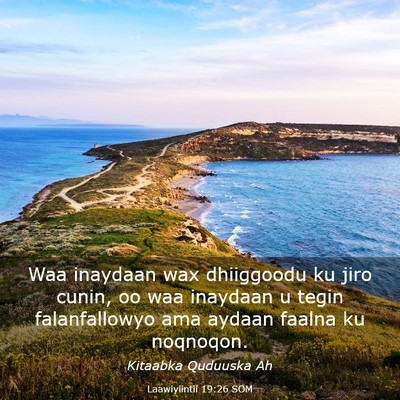 Picture 03 - Laawiyiintii 19:26 SOM - Waa inaydaan wax dhiiggoodu ku jiro cunin, oo waa - Bible Verse Picture
