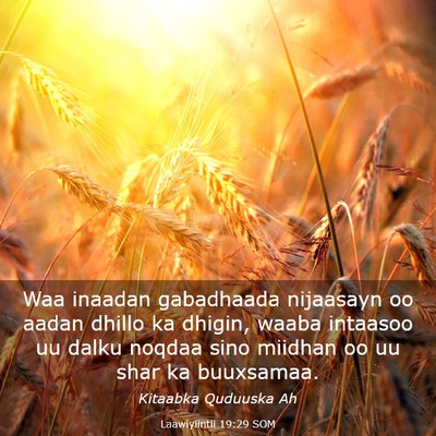 Picture 03 - Laawiyiintii 19:29 SOM - Waa inaadan gabadhaada nijaasayn oo aadan dhillo - Bible Verse Picture