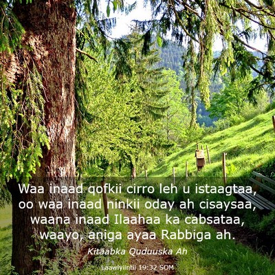 Picture 03 - Laawiyiintii 19:32 SOM - Waa inaad qofkii cirro leh u istaagtaa, oo waa - Bible Verse Picture