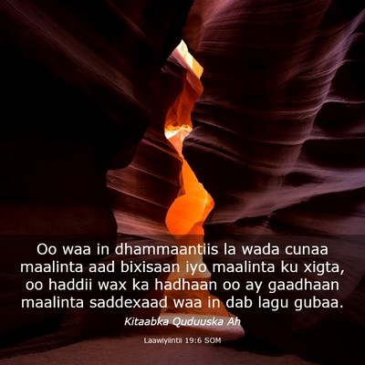 Picture 03 - Laawiyiintii 19:6 SOM - Oo waa in dhammaantiis la wada cunaa maalinta aad - Bible Verse Picture