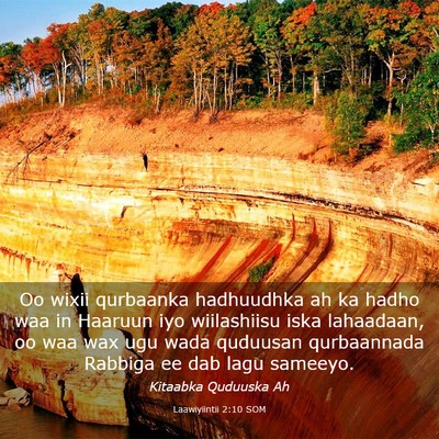 Picture 03 - Laawiyiintii 2:10 SOM - Oo wixii qurbaanka hadhuudhka ah ka hadho waa in - Bible Verse Picture