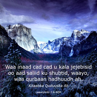 Picture 03 - Laawiyiintii 2:6 SOM - Waa inaad cad cad u kala jejebisid oo aad saliid - Bible Verse Picture