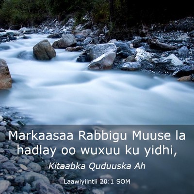 Picture 03 - Laawiyiintii 20:1 SOM - Markaasaa Rabbigu Muuse la hadlay oo wuxuu ku - Bible Verse Picture