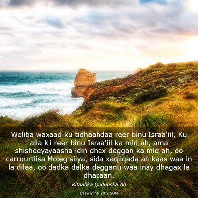 Picture 03 - Laawiyiintii 20:2 SOM - Weliba waxaad ku tidhaahdaa reer binu Israa'iil, - Bible Verse Picture