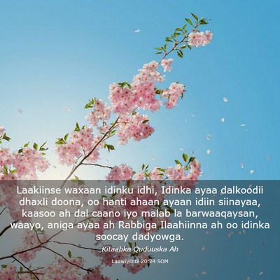 Picture 03 - Laawiyiintii 20:24 SOM - Laakiinse waxaan idinku idhi, Idinka ayaa - Bible Verse Picture