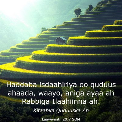 Picture 03 - Laawiyiintii 20:7 SOM - Haddaba isdaahiriya oo quduus ahaada, waayo, - Bible Verse Picture