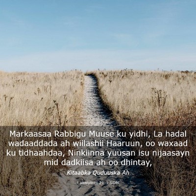 Picture 03 - Laawiyiintii 21:1 SOM - Markaasaa Rabbigu Muuse ku yidhi, La hadal - Bible Verse Picture