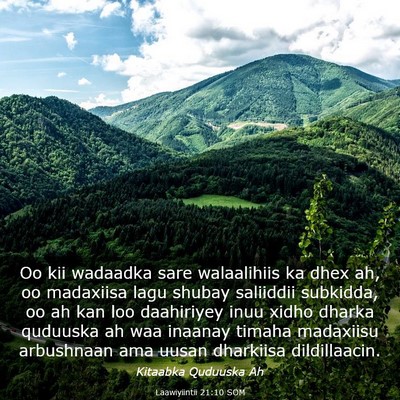 Picture 03 - Laawiyiintii 21:10 SOM - Oo kii wadaadka sare walaalihiis ka dhex ah, oo - Bible Verse Picture