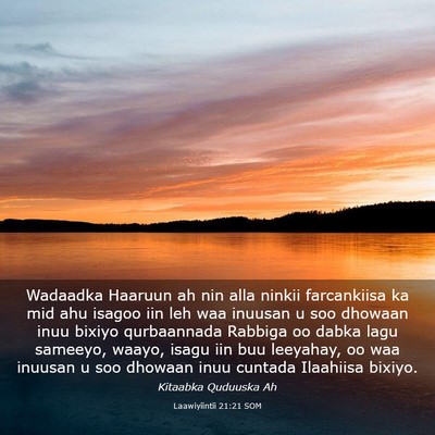 Picture 03 - Laawiyiintii 21:21 SOM - Wadaadka Haaruun ah nin alla ninkii farcankiisa - Bible Verse Picture