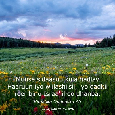 Picture 03 - Laawiyiintii 21:24 SOM - Muuse sidaasuu kula hadlay Haaruun iyo - Bible Verse Picture