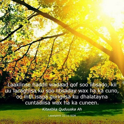 Picture 03 - Laawiyiintii 22:11 SOM - Laakiinse haddii wadaad qof soo iibsado, kii uu - Bible Verse Picture