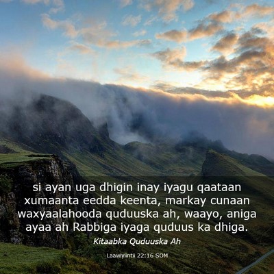 Picture 03 - Laawiyiintii 22:16 SOM - si ayan uga dhigin inay iyagu qaataan xumaanta - Bible Verse Picture