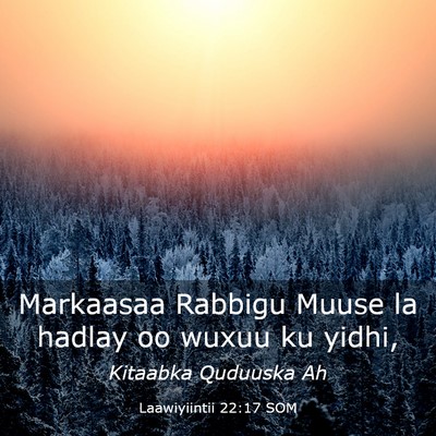 Picture 03 - Laawiyiintii 22:17 SOM - Markaasaa Rabbigu Muuse la hadlay oo wuxuu ku - Bible Verse Picture