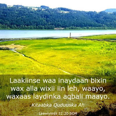 Picture 03 - Laawiyiintii 22:20 SOM - Laakiinse waa inaydaan bixin wax alla wixii iin - Bible Verse Picture