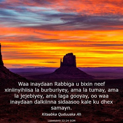 Picture 03 - Laawiyiintii 22:24 SOM - Waa inaydaan Rabbiga u bixin neef xiniinyihiisa - Bible Verse Picture