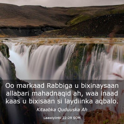 Picture 03 - Laawiyiintii 22:29 SOM - Oo markaad Rabbiga u bixinaysaan allabari - Bible Verse Picture