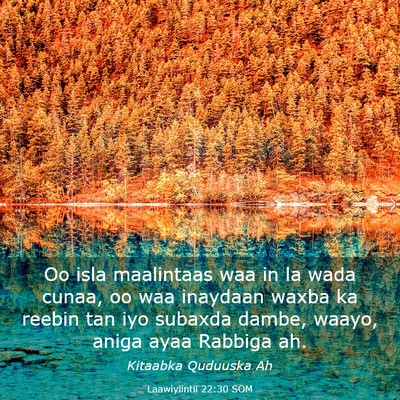 Picture 03 - Laawiyiintii 22:30 SOM - Oo isla maalintaas waa in la wada cunaa, oo waa - Bible Verse Picture