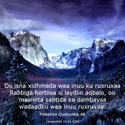 Picture 03 - Laawiyiintii 23:11 SOM - Oo isna xidhmada waa inuu ku ruxruxaa Rabbiga - Bible Verse Picture