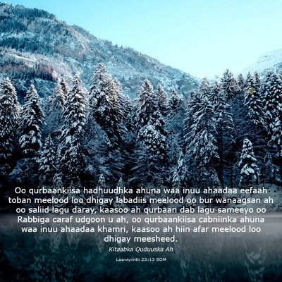Picture 03 - Laawiyiintii 23:13 SOM - Oo qurbaankiisa hadhuudhka ahuna waa inuu ahaadaa - Bible Verse Picture