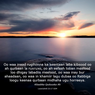 Picture 03 - Laawiyiintii 23:17 SOM - Oo waa inaad rugihiinna ka keentaan laba kibsood - Bible Verse Picture