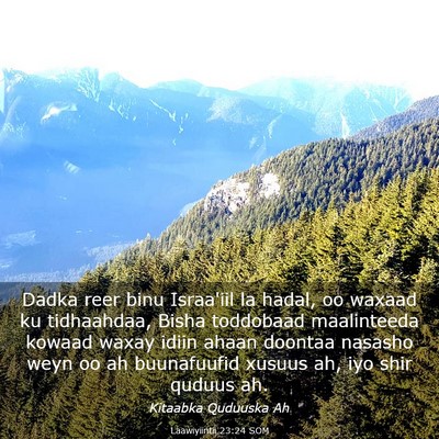 Picture 03 - Laawiyiintii 23:24 SOM - Dadka reer binu Israa'iil la hadal, oo waxaad ku - Bible Verse Picture
