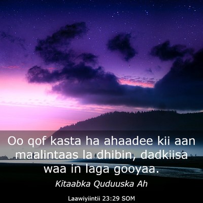 Picture 03 - Laawiyiintii 23:29 SOM - Oo qof kasta ha ahaadee kii aan maalintaas la - Bible Verse Picture