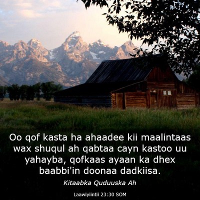 Picture 03 - Laawiyiintii 23:30 SOM - Oo qof kasta ha ahaadee kii maalintaas wax shuqul - Bible Verse Picture