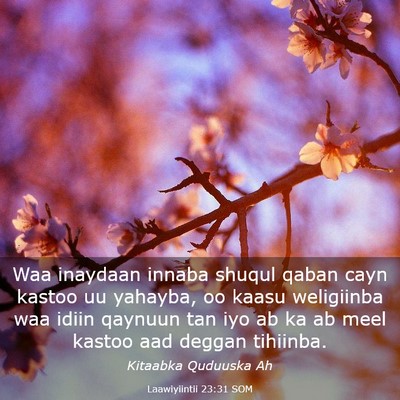 Picture 03 - Laawiyiintii 23:31 SOM - Waa inaydaan innaba shuqul qaban cayn kastoo uu - Bible Verse Picture