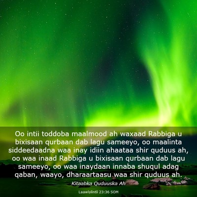Picture 03 - Laawiyiintii 23:36 SOM - Oo intii toddoba maalmood ah waxaad Rabbiga u - Bible Verse Picture