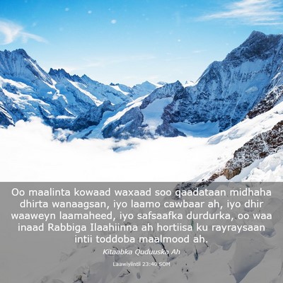 Picture 03 - Laawiyiintii 23:40 SOM - Oo maalinta kowaad waxaad soo qaadataan midhaha - Bible Verse Picture