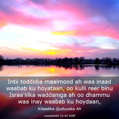 Picture 03 - Laawiyiintii 23:42 SOM - Intii toddoba maalmood ah waa inaad waabab ku - Bible Verse Picture