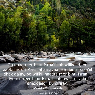 Picture 03 - Laawiyiintii 24:10 SOM - Oo naag reer binu Israa'iil ah wiilkeed, oo - Bible Verse Picture