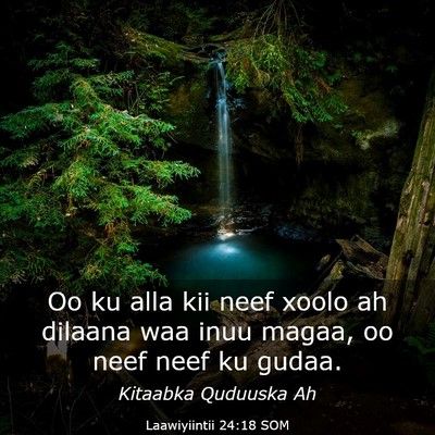 Picture 03 - Laawiyiintii 24:18 SOM - Oo ku alla kii neef xoolo ah dilaana waa inuu - Bible Verse Picture