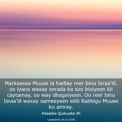 Picture 03 - Laawiyiintii 24:23 SOM - Markaasaa Muuse la hadlay reer binu Israa'iil, oo - Bible Verse Picture