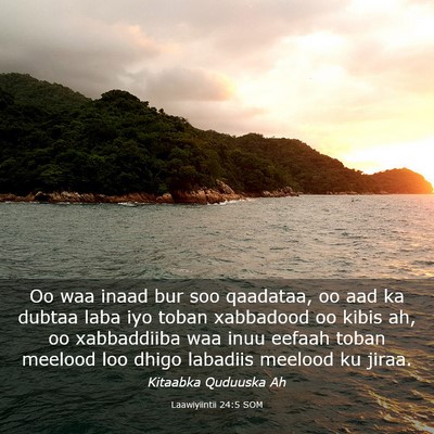 Picture 03 - Laawiyiintii 24:5 SOM - Oo waa inaad bur soo qaadataa, oo aad ka dubtaa - Bible Verse Picture