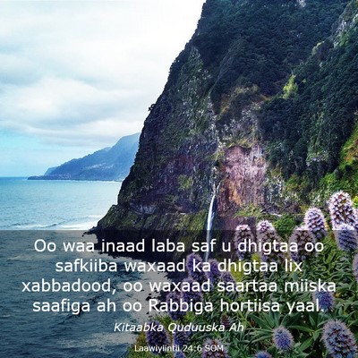 Picture 03 - Laawiyiintii 24:6 SOM - Oo waa inaad laba saf u dhigtaa oo safkiiba - Bible Verse Picture
