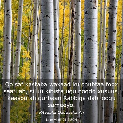 Picture 03 - Laawiyiintii 24:7 SOM - Oo saf kastaba waxaad ku shubtaa foox saafi ah, - Bible Verse Picture