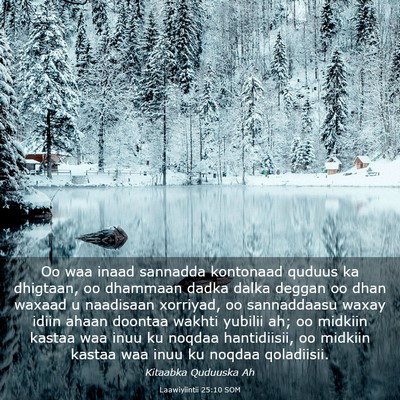Picture 03 - Laawiyiintii 25:10 SOM - Oo waa inaad sannadda kontonaad quduus ka - Bible Verse Picture