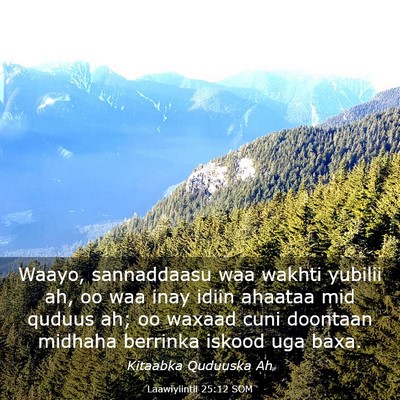 Picture 03 - Laawiyiintii 25:12 SOM - Waayo, sannaddaasu waa wakhti yubilii ah, oo waa - Bible Verse Picture
